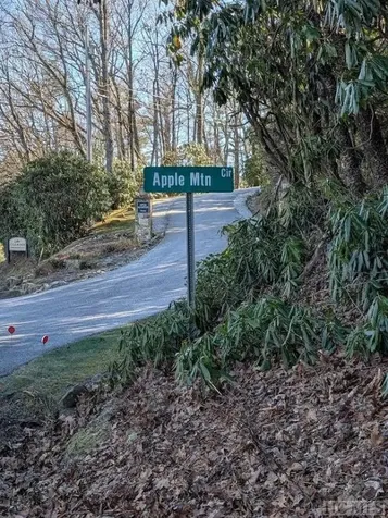 Lot 1 Apple Mountain Lane Highlands NC 28741