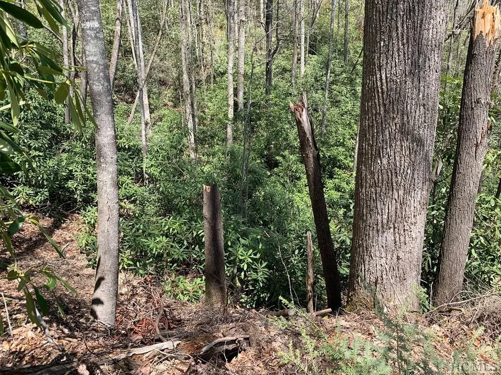 Lot 31 Beech Court Sapphire NC 28774