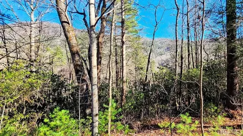 1009 W Christy Trail Sapphire NC 28774