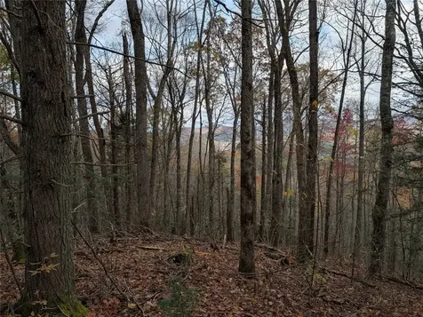 Lot 219 Drystack Way Cashiers NC 28717