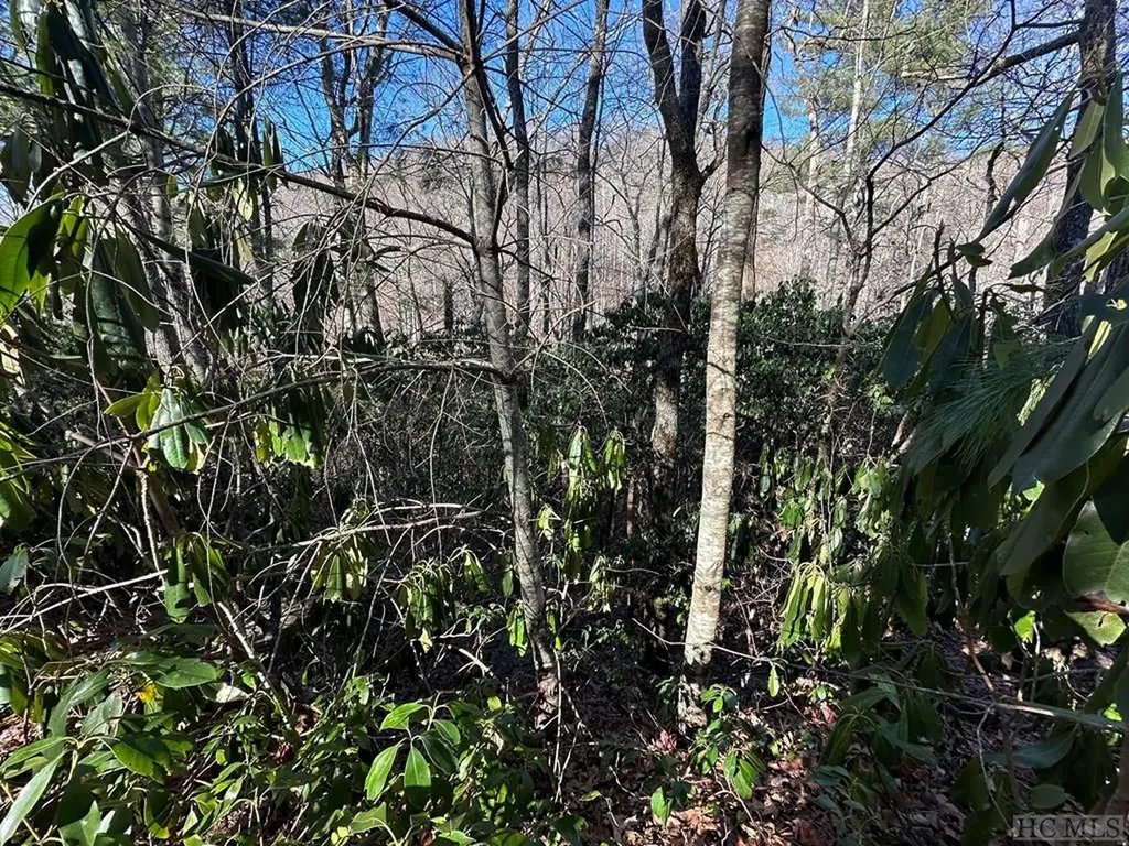 Lot 137 N Buckberry Drive Sapphire NC 28774