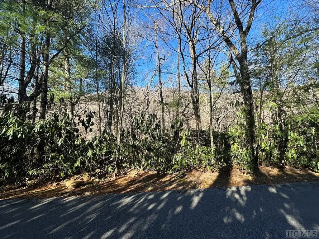 Lot 137 N Buckberry Drive Sapphire NC 28774