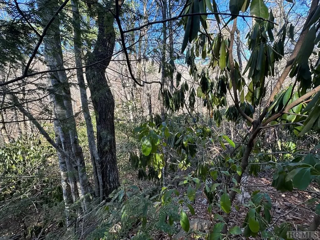 Lot 137 N Buckberry Drive Sapphire NC 28774