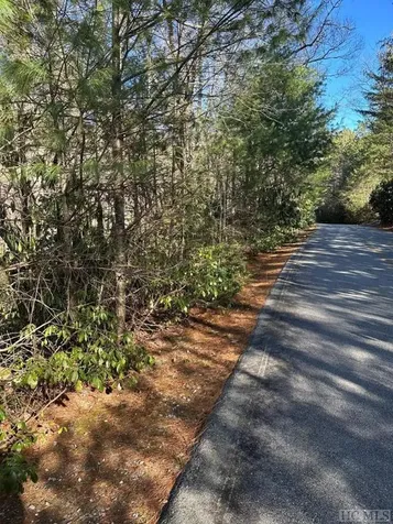 Lot 137 N Buckberry Drive Sapphire NC 28774