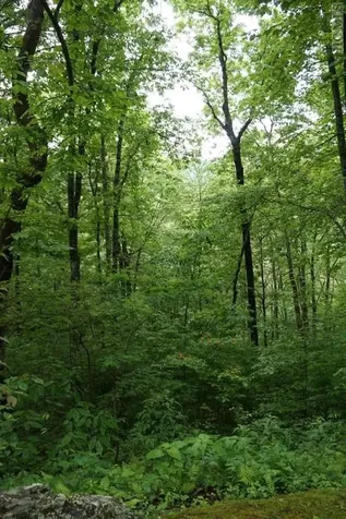 11 Highlands Point Road Highlands NC 28741