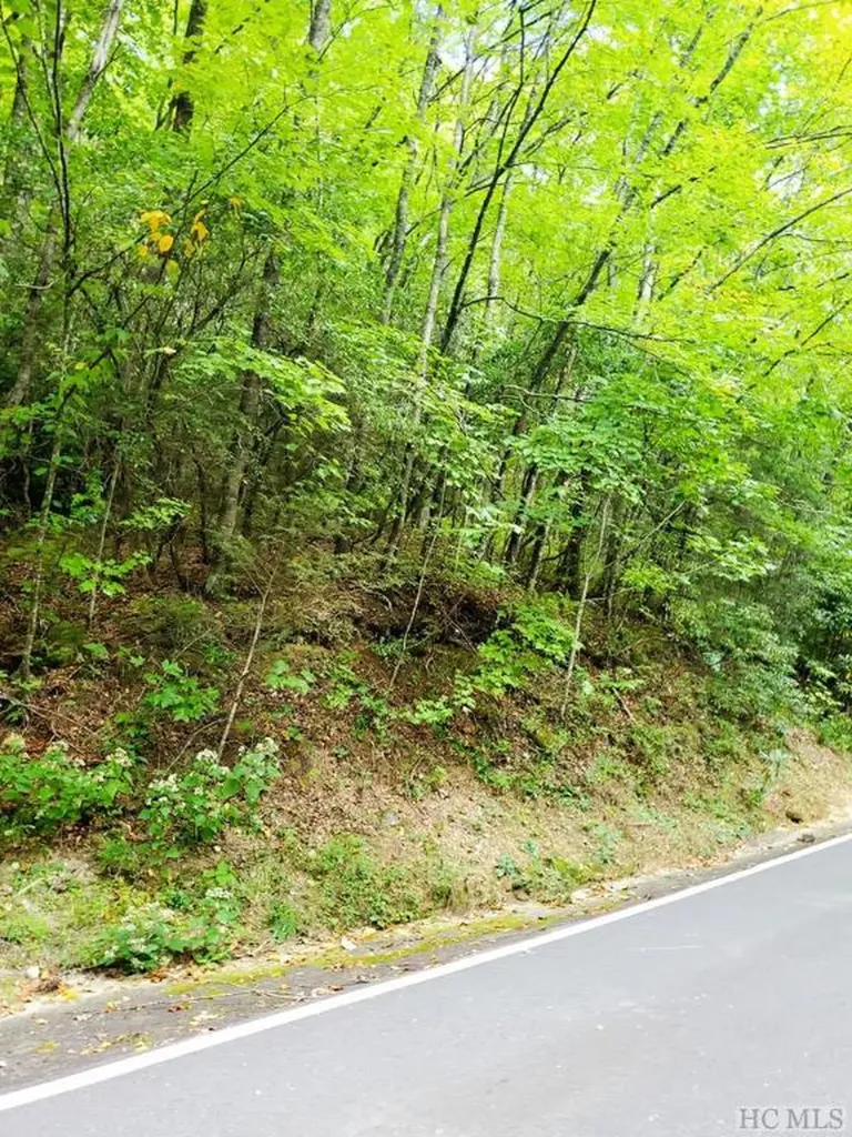Lot 82 West Christy Trail Sapphire NC 28774