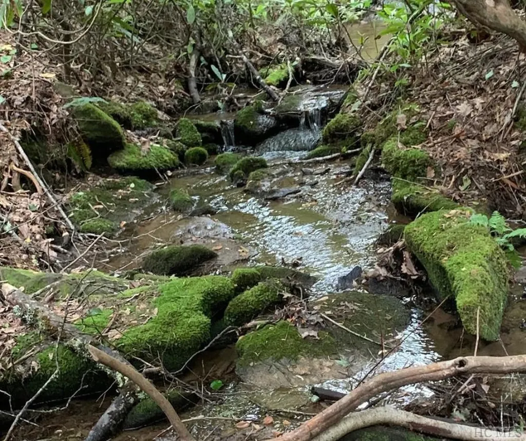 Lt 9 &10 Shady Oak Trail Cullowhee NC 28723