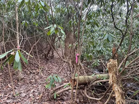 Lt 9 &10 Shady Oak Trail Cullowhee NC 28723