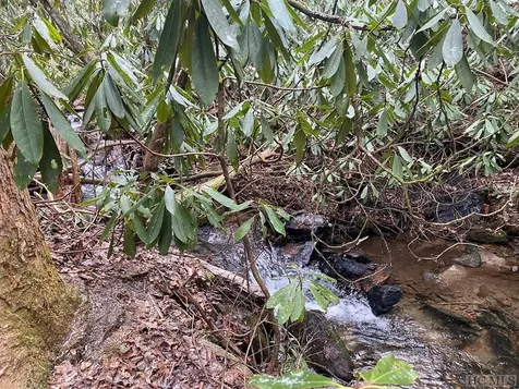 Lt 9 &10 Shady Oak Trail Cullowhee NC 28723