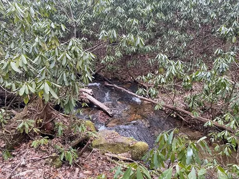 Lt 9 &10 Shady Oak Trail Cullowhee NC 28723
