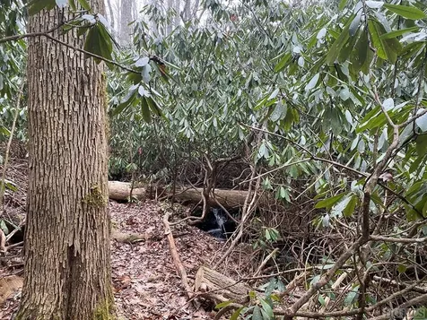 Lt 9 &10 Shady Oak Trail Cullowhee NC 28723