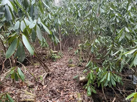 Lt 9 &10 Shady Oak Trail Cullowhee NC 28723