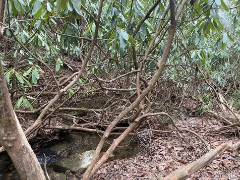 Lt 9 &10 Shady Oak Trail Cullowhee NC 28723