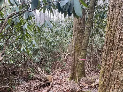 Lt 9 &10 Shady Oak Trail Cullowhee NC 28723