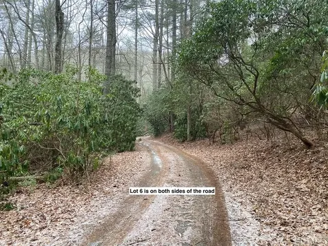 Lot 6 Shady Oak Trail Cullowhee NC 28723