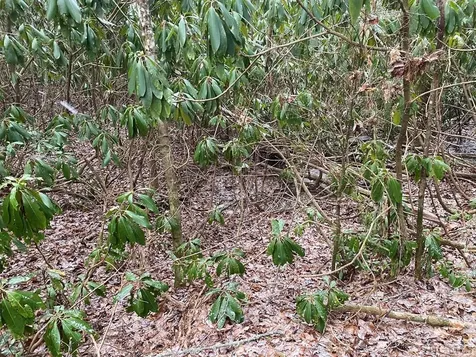 Lot 6 Shady Oak Trail Cullowhee NC 28723