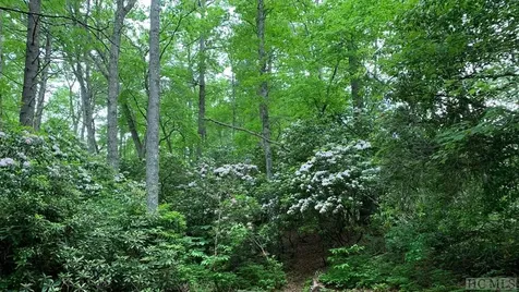 Lot 6 Shady Oak Trail Cullowhee NC 28723