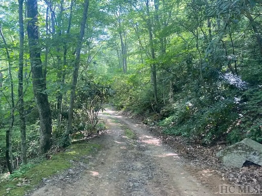 N/a N/a Scaly Mountain NC 28775