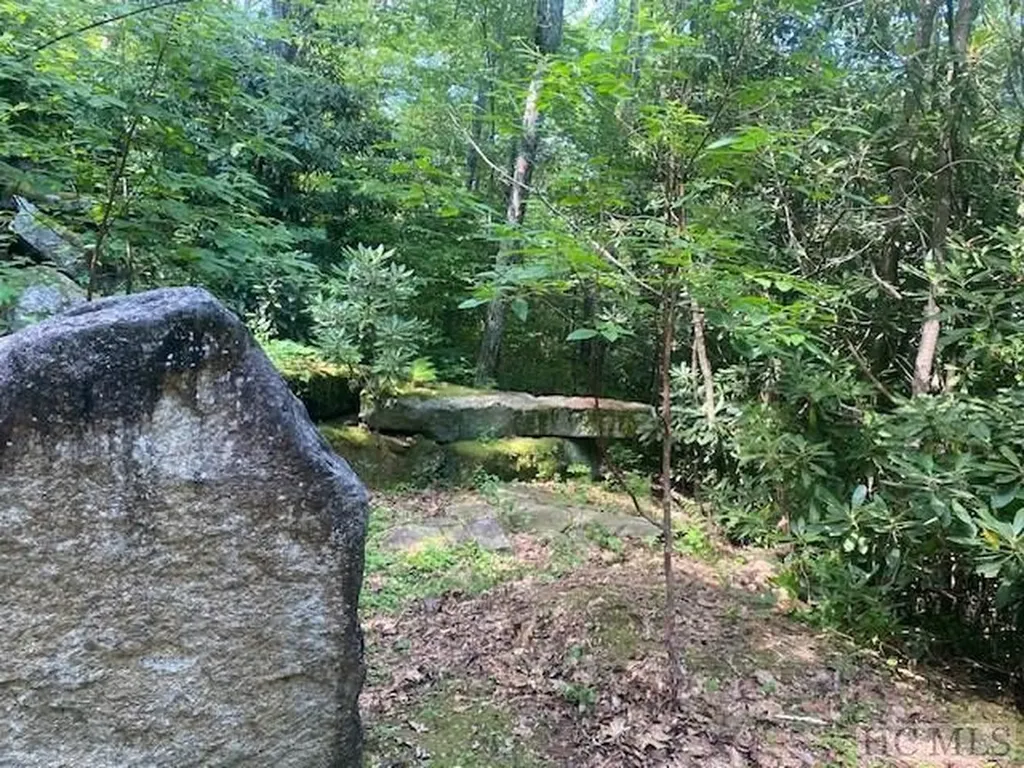 N/a N/a Scaly Mountain NC 28775