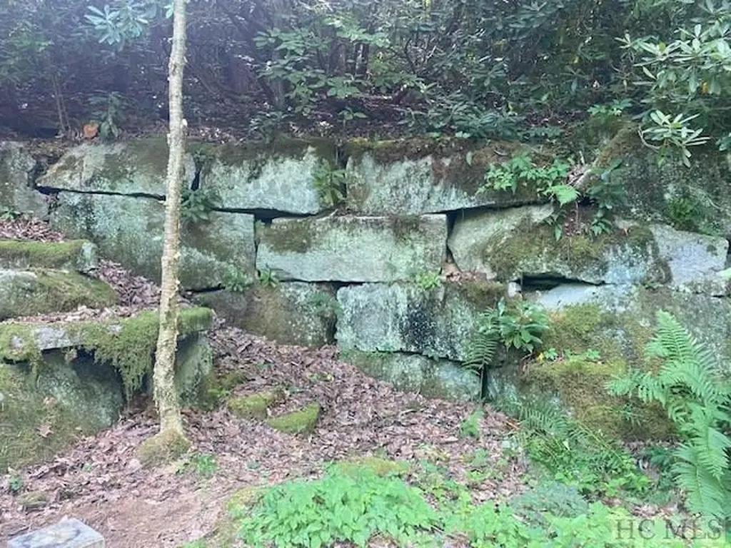 N/a N/a Scaly Mountain NC 28775