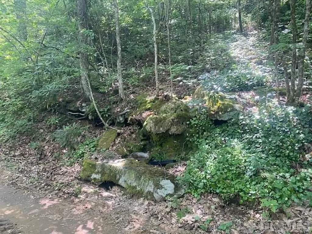 N/a N/a Scaly Mountain NC 28775