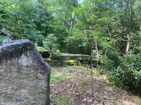 N/a N/a Scaly Mountain NC 28775