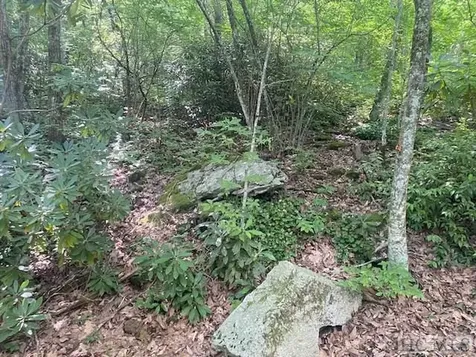 N/a N/a Scaly Mountain NC 28775