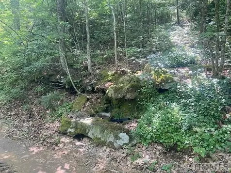 N/a N/a Scaly Mountain NC 28775