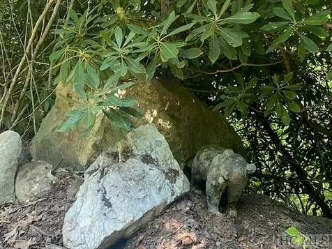 N/a N/a Scaly Mountain NC 28775