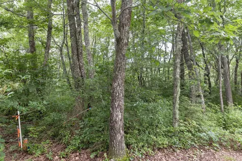 85 & 86 Lake Villas Way Highlands NC 28741