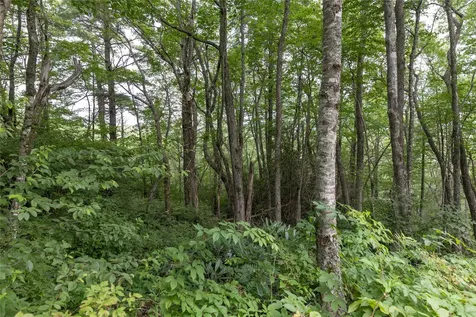 85 & 86 Lake Villas Way Highlands NC 28741