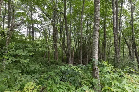 85 & 86 Lake Villas Way Highlands NC 28741