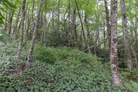 85 & 86 Lake Villas Way Highlands NC 28741