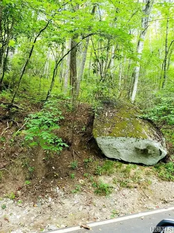 Lot 83 W Christy Trail Sapphire NC 28774