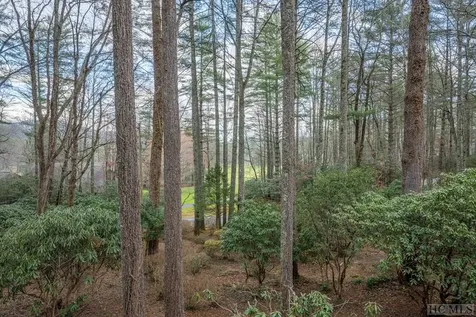 672 Cherokee Trail Sapphire NC 28774