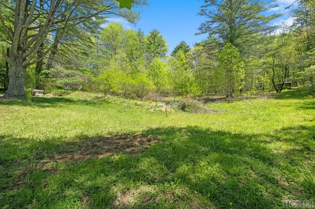 194 1/2 Tarragon Drive Cashiers NC 28717