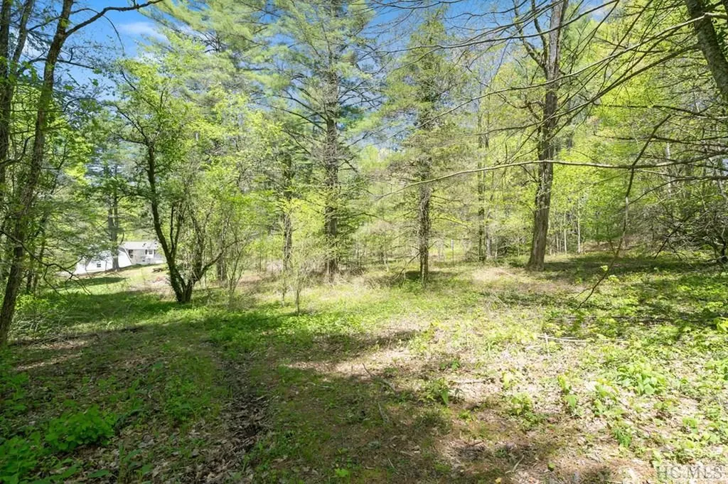 194 1/2 Tarragon Drive Cashiers NC 28717