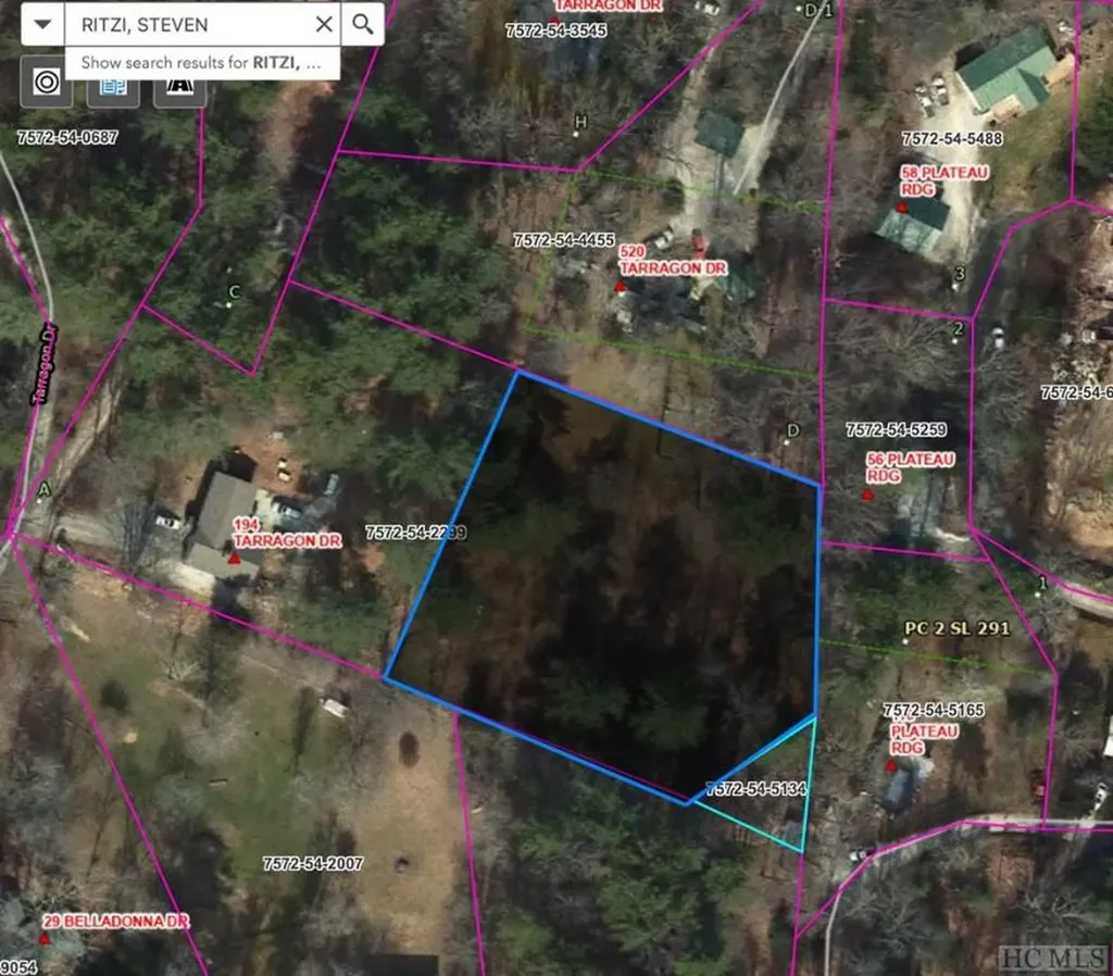 194 1/2 Tarragon Drive Cashiers NC 28717