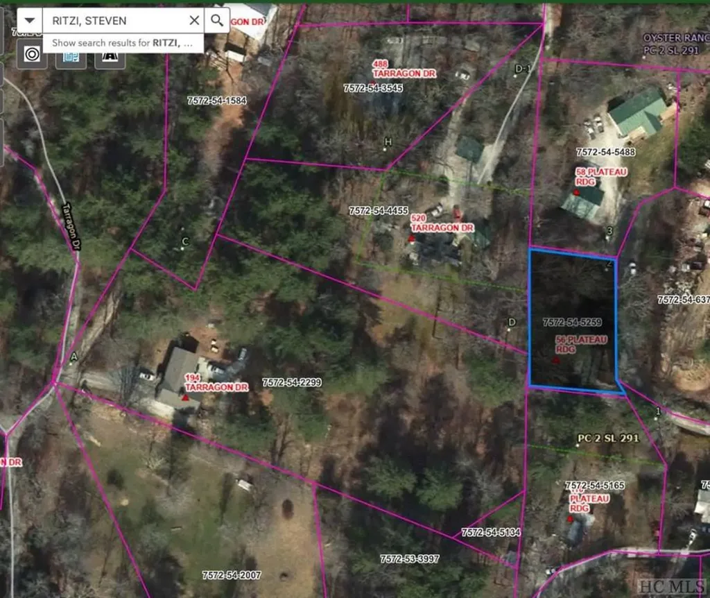 194 1/2 Tarragon Drive Cashiers NC 28717