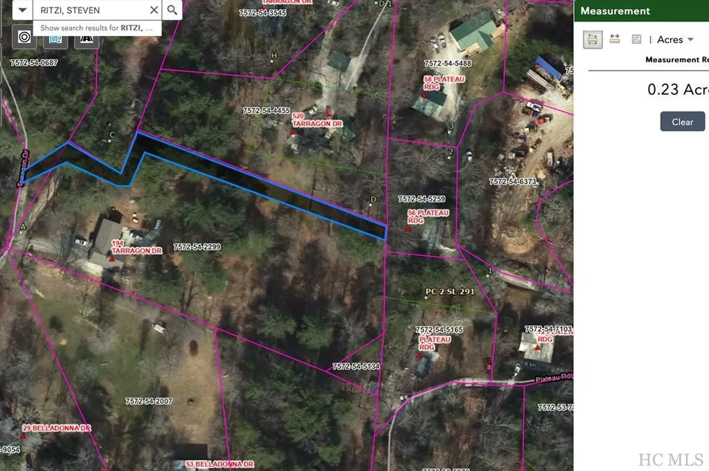 194 1/2 Tarragon Drive Cashiers NC 28717