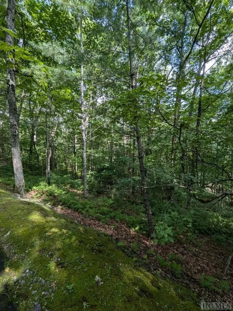 Lot 13 Glen Pointe Cullowhee NC 28723