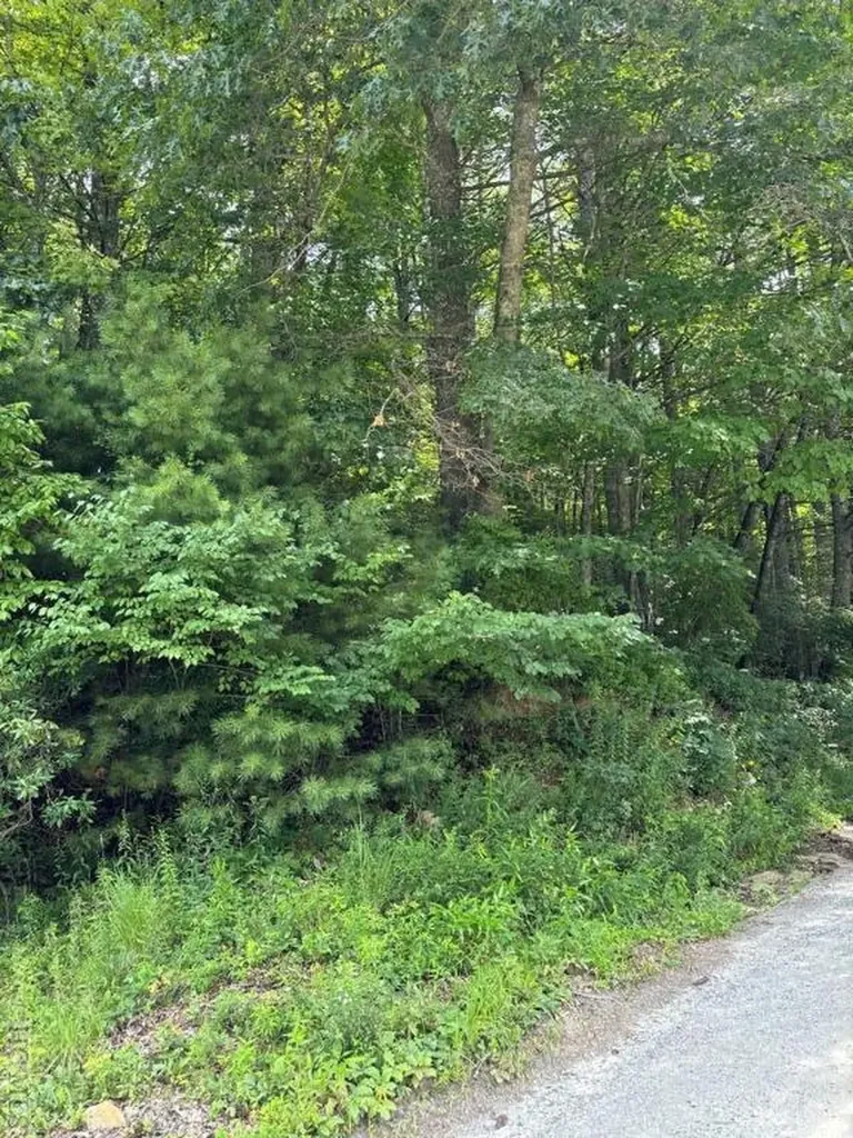 A Jurasic Drive Cashiers NC 28717