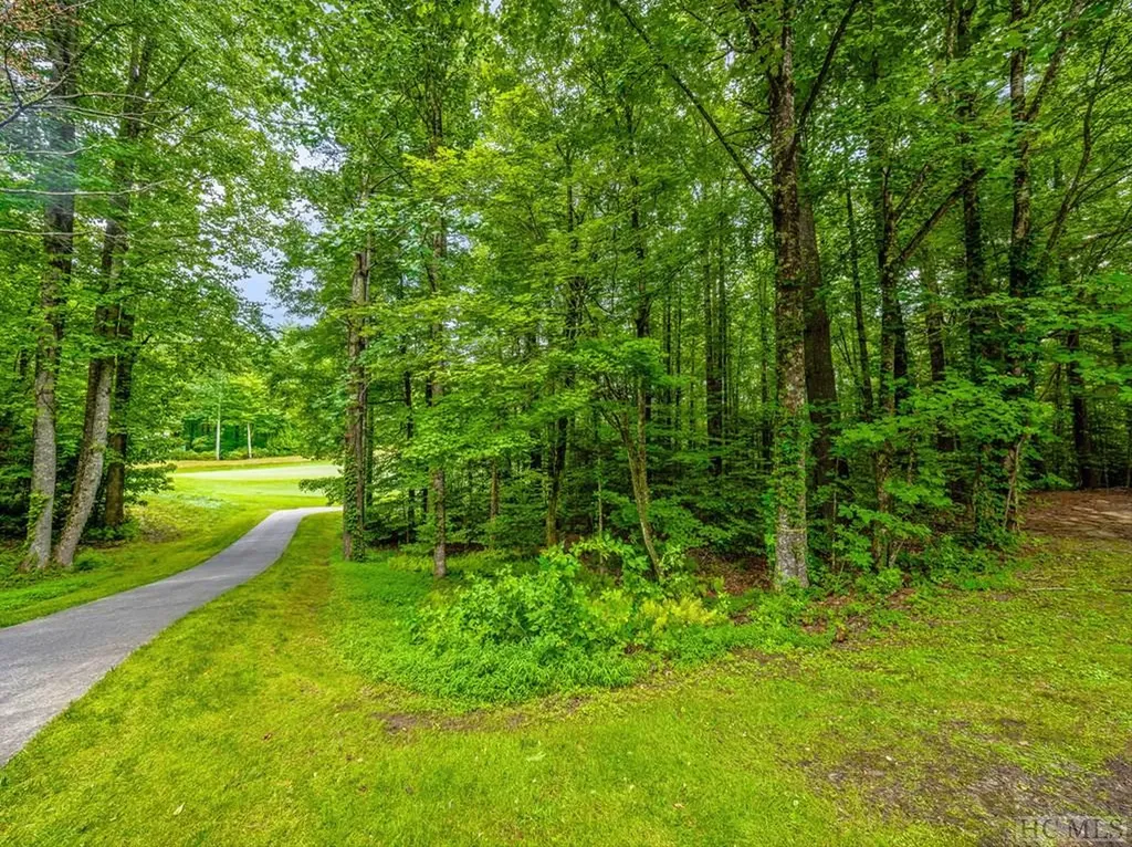 N 17 Mills Creek Trace Lake Toxaway NC 28747