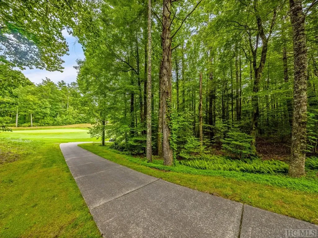 N 17 Mills Creek Trace Lake Toxaway NC 28747