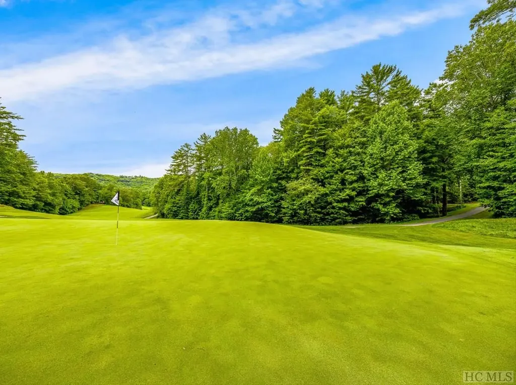 N 17 Mills Creek Trace Lake Toxaway NC 28747