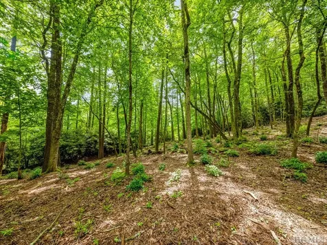 K 28 Chestnut Trace Lake Toxaway NC 28747