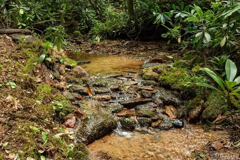 Tbd Mill Creek Road Cullowhee NC 28723