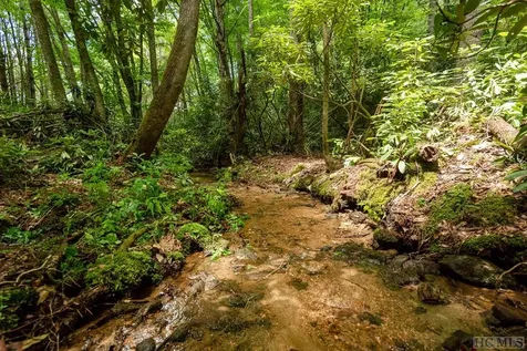 Tbd Mill Creek Road Cullowhee NC 28723