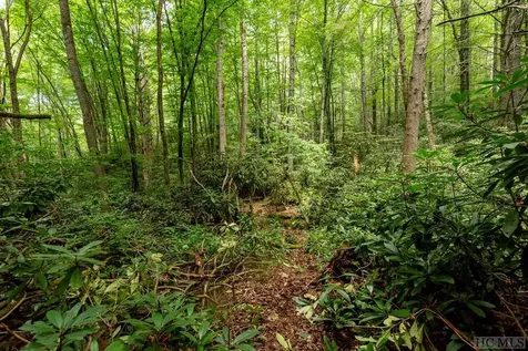 Tbd Mill Creek Road Cullowhee NC 28723