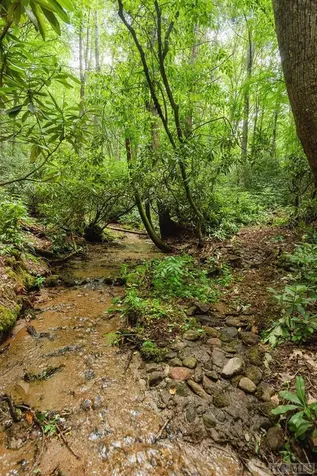 Tbd Mill Creek Road Cullowhee NC 28723